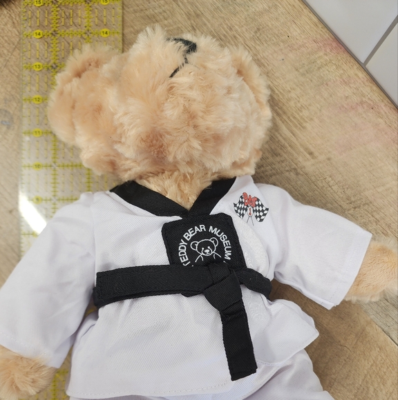 Taekwondo Teddy Bear Karate Bear Martial Arts Stuffed Animals - Picture 4 of 4